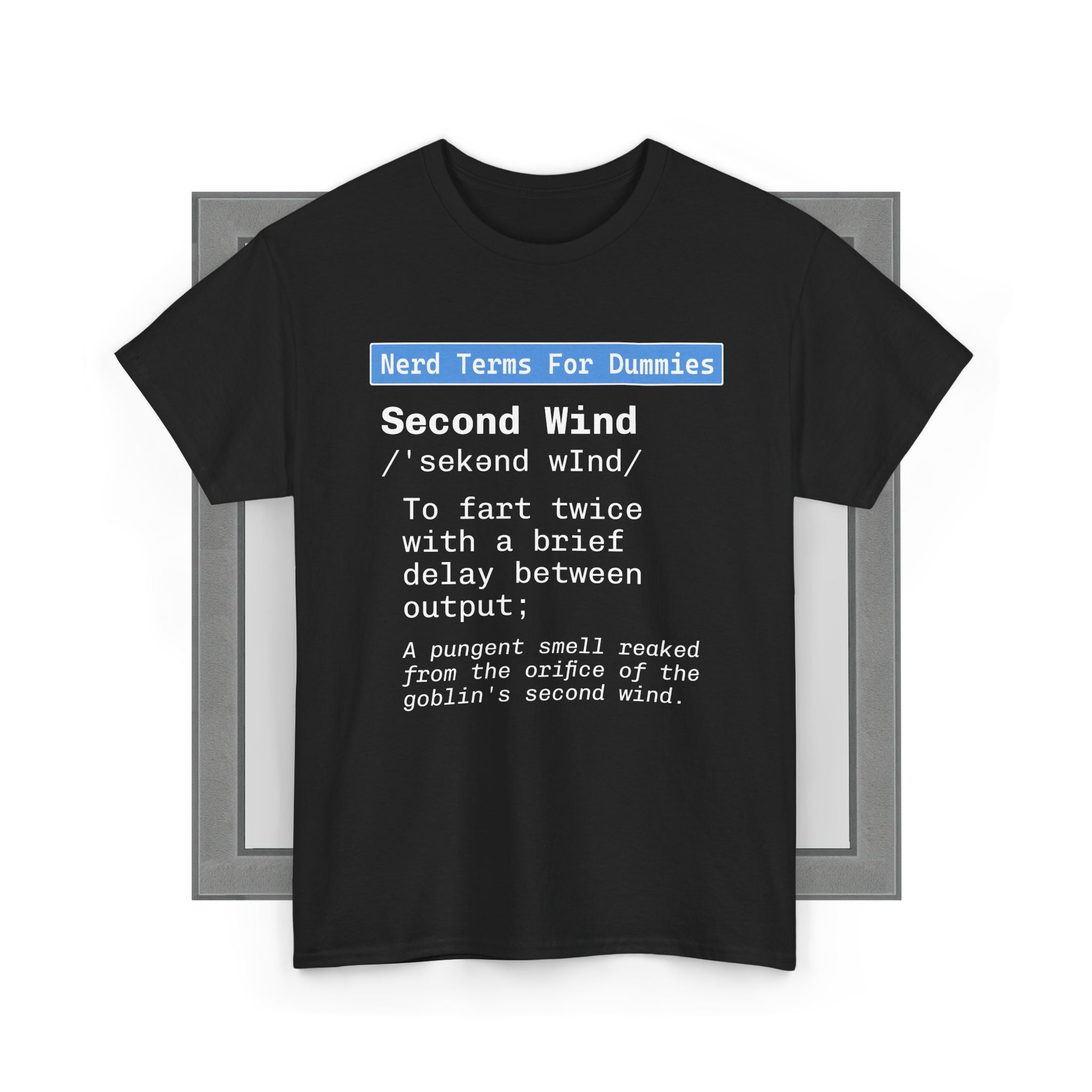 Second Wind - Nerd Terms For Dummies T-Shirt